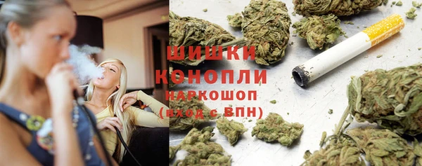 индика Белокуриха